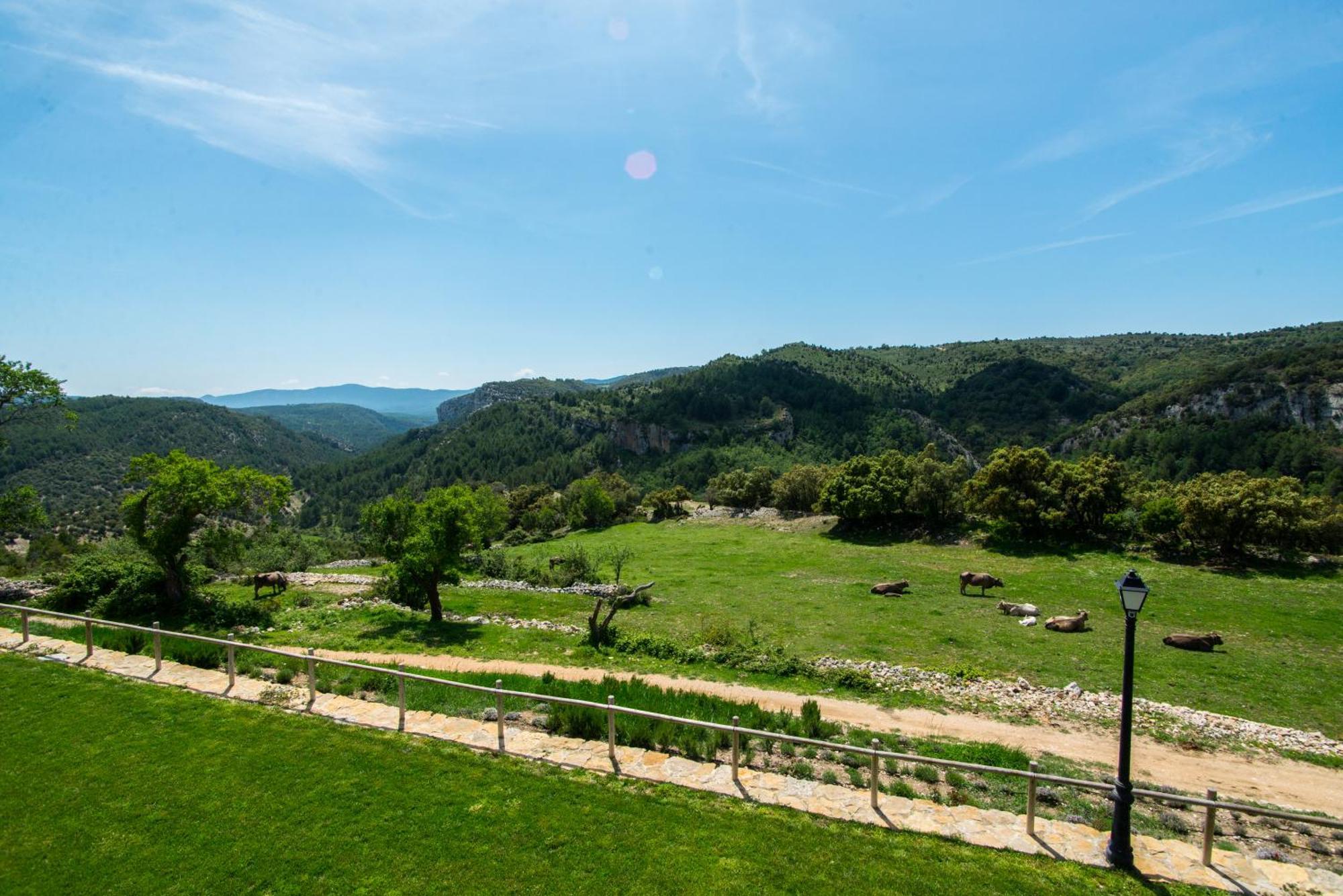 Font D'En Torres Solo Adultos Guest House โมเรยา ภายนอก รูปภาพ